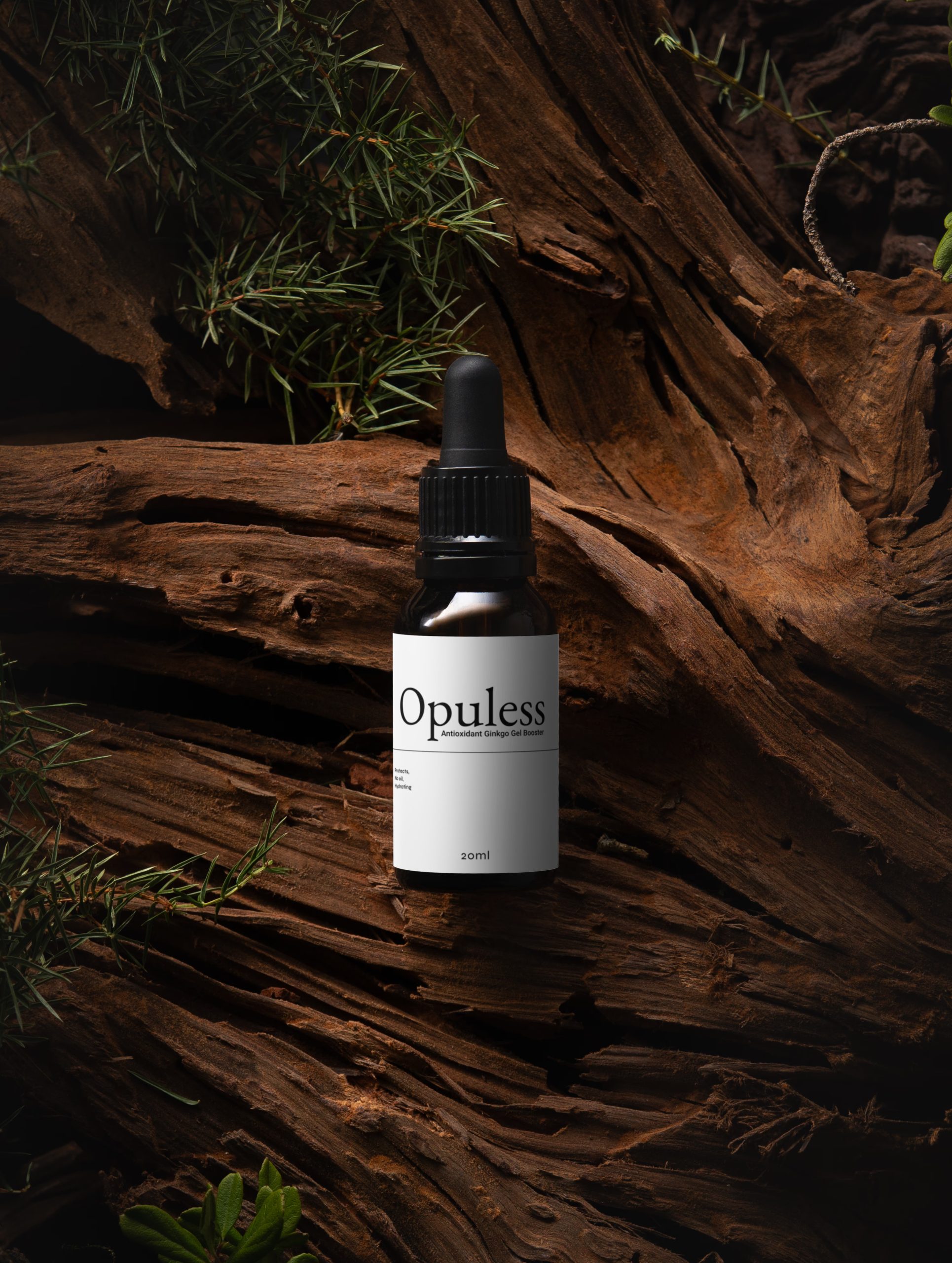 Antioxidant Ginkgo Gel Booster - Image 3